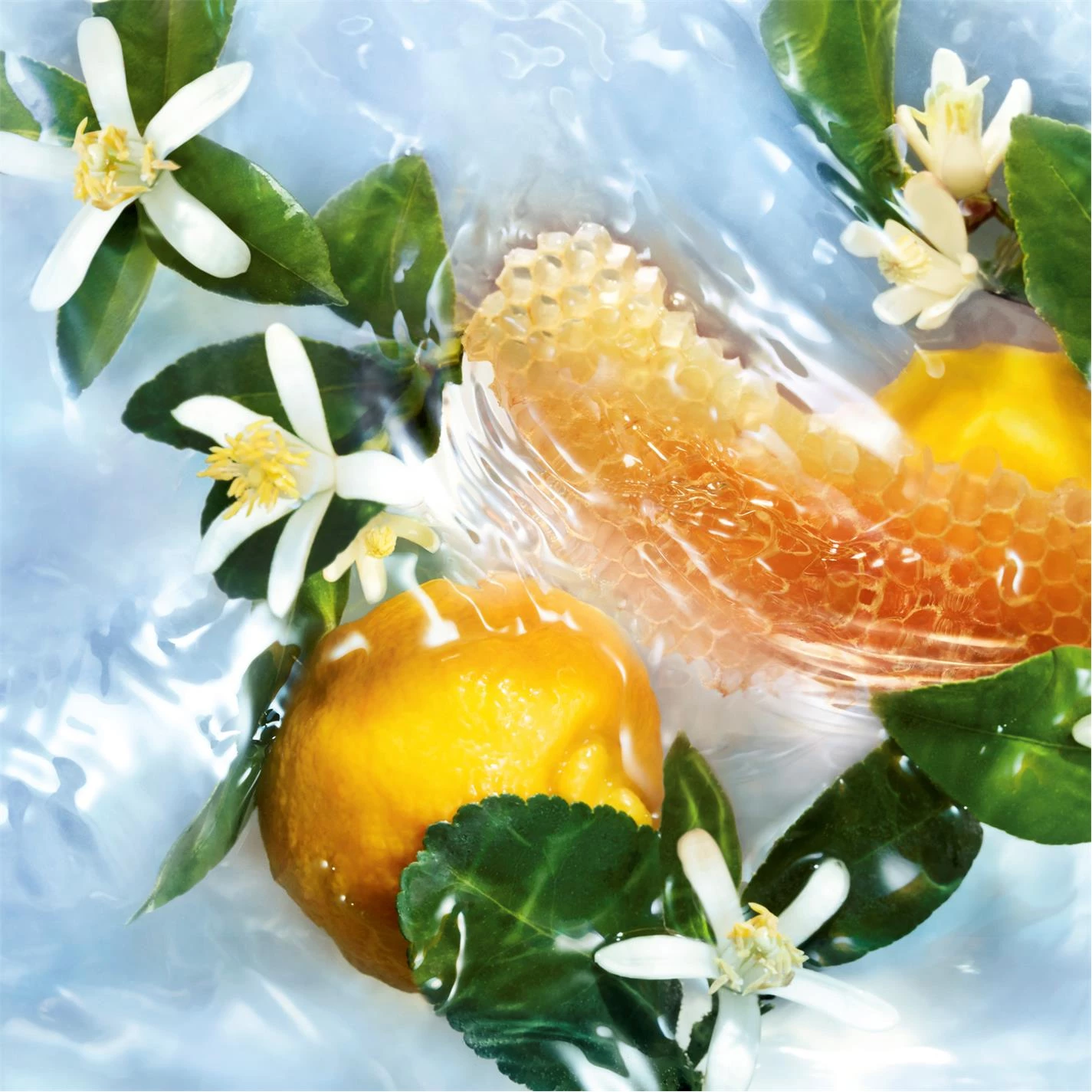 Best deal π Guerlain Aqua Allegoria Nettare Di Sole Eau de Toilette π - Image 2