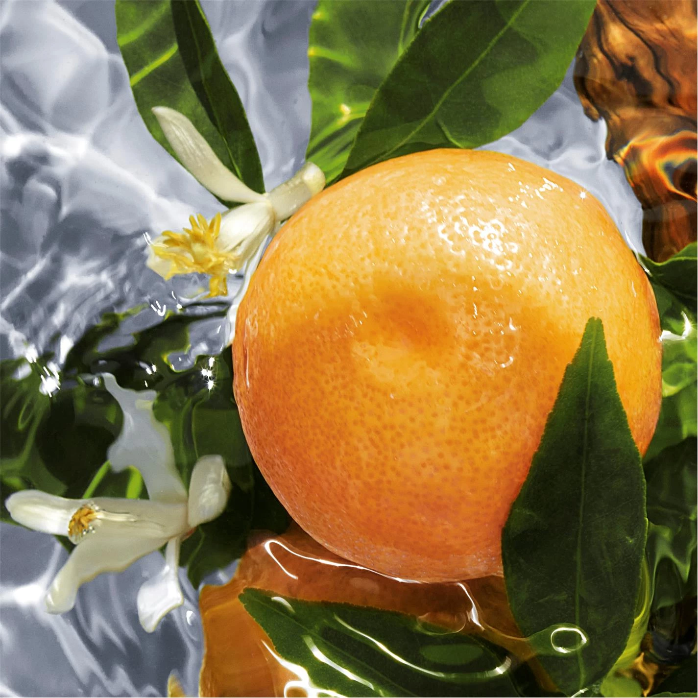 Best Pirce π Guerlain Aqua Allegoria Pamplelune Eau de Toilette π - Image 2